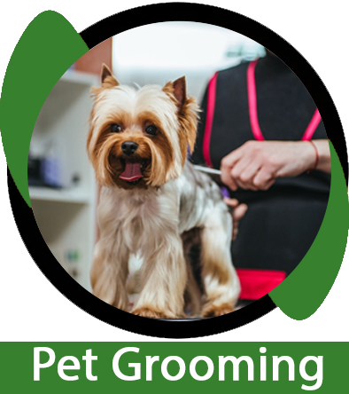 Pet Grooming Scissor